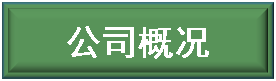 公司介绍