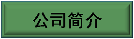 公司介绍